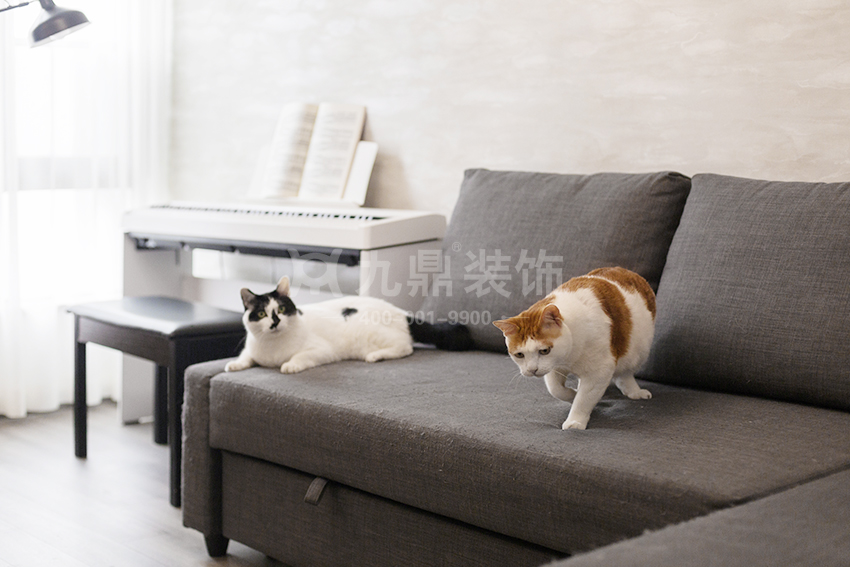 新房裝修圖 新房裝修圖