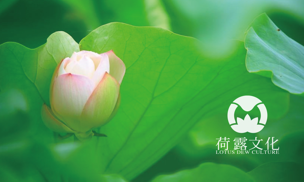 上玄唯象